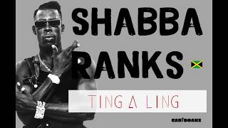 Shabba Ranks  Ting A Ling Dancehall Lyrics provided by Cariboake The Official Karaoke Event [upl. by Auqkinahs]