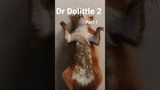 Dr dolittle 2 Movie Kids Movies [upl. by Malet]