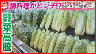 【お鍋が心配】葉物野菜を中心に野菜が値上がり 今のお手頃野菜は [upl. by Aramat]