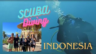 POV You are in Indonesian Coral Belt Scuba Diving with your friends Travel Vlog [upl. by Rolf922]