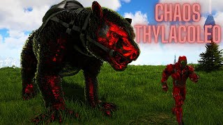 ARK SUPER MODS  ENCONTREI UM CHAOS THYLACOLEO ELE É MUITO FORTE [upl. by Cooke288]