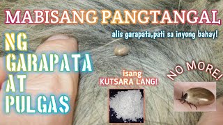 mabisangpangtangalnggarapata gamotnapamataygarapata  MABISANG PANGTANGAL AT PAMATAY GARAPATA [upl. by Gala971]