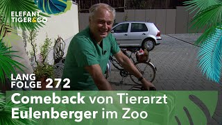 Ein Professor auf Stippvisite Langfolge 272  Elefant Tiger amp Co  ARD [upl. by Ahseela639]