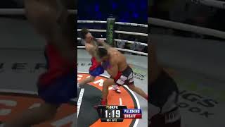 Luis Palomino knocks down Tom Shoaff in spectacular fashion at BKFC 34 [upl. by Jennings]