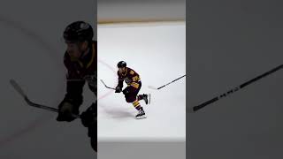 Josh Melnick GOAL vs Rockford Icehogs chicagowolves hockey hockeyhighlights viralvideo [upl. by Norreg]