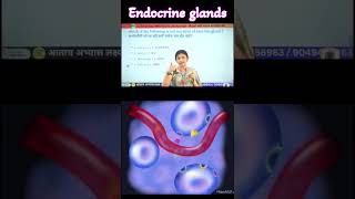 Endocrine glands drpreetiraut upsc science generalscience endocrinegland [upl. by Nevaeh69]