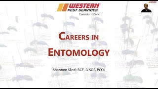 Careers In Entomology [upl. by Aridni]