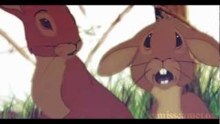 Watership Down This is War [upl. by Ahseekat368]