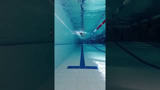 Freestyle swimming 🏊‍♂️ front view under water [upl. by Gareth]