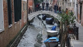 Venedig trocknet aus Video [upl. by Karylin576]