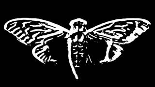 Cicada 3301 Music [upl. by Ymrots602]