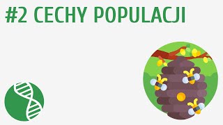 Cechy populacji 2  Ekologia [upl. by Monro]