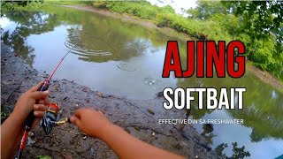 AJING LURE EFFECTIVE DIN SA FRESHWATER  Ultralight Fishing Philippines fishing mancing ajing [upl. by Renner]