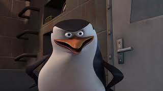 Skipper  Actions Speak Louder Than Words ThePenguinsOfMadagascar [upl. by Yelad]