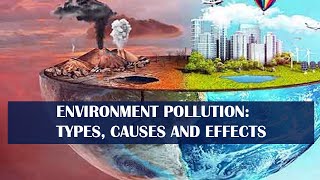 Environment Pollution Types Causes and Effects infographic [upl. by Aret]