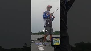 Hard to Beat Fishing the Herring Spawn bassfishinglife [upl. by Letnahc]