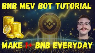 MEV bot for Binance Smart Chain in Solidity  1 BNB Everyday 2024 [upl. by Jorgenson]