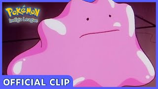 Duplica and Ditto  Pokémon Indigo League  Official Clip [upl. by Friedrick]