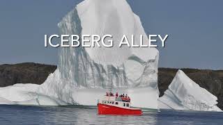 Icebergs and boating adventures around Twillingate Island in Notre Dame Bay  Newfoundland [upl. by Lluj]