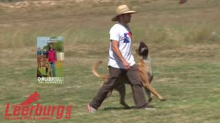 Focused Heeling Demo [upl. by Regdirb560]