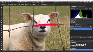 Affinity Photo Schnelle Bildbearbeitung am Mac [upl. by Obeded]