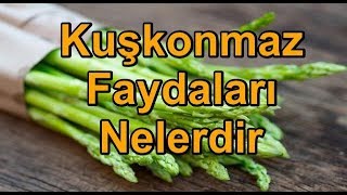 Kuşkonmaz Faydaları Nelerdir [upl. by Bergstein78]