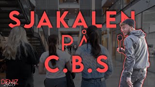 SJAKALEN PÅ CBS [upl. by Sharity]