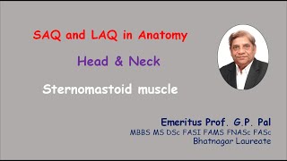 14 Sternomastoid muscle [upl. by Jermyn]