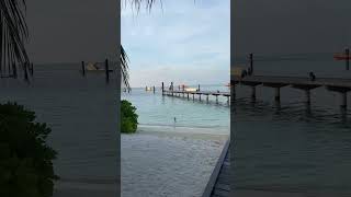 Hideaway Resort Beach in Maldives maldivs [upl. by Bibbie]