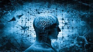 The Human Brain Explained  Neuroscience Full Documentary [upl. by Goldshell]