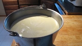 The Raw Milk Renaissance A Farmers Advocacy for Natural Dairy [upl. by Brandyn]