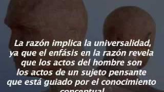 HERBERT MARCUSE RAZON Y REVOLUCION 13 [upl. by Aicemat981]