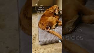 WORTH ITWaterproof dog bed [upl. by Yeblehs]