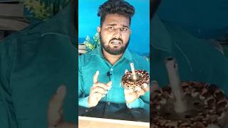 Ceiling फैन Connection करें। shorts ytshorts viralvideo ceilingfanconnection connection [upl. by Gordan]