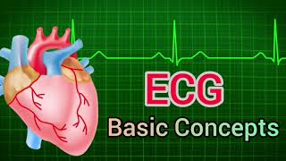 ECG INTERPRETATION MADE EASY BASIC CONCEPTS BEGINNERS GUIDE [upl. by Florrie360]