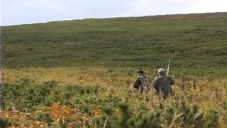 Bear Hunting Kamchatka Peninsula Far East Russia [upl. by Alberic]