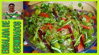 ¿Cómo hacer Ensalada de germen de alfalfa Receta saludableMi amiga Gaby [upl. by Garik187]