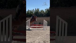 Today I rode Si Señor LS🐴❤️ Beautiful horse gilaryeq equestrian showjumping horse horseriding [upl. by Chery]