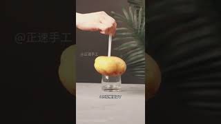 物理小实验，带你探索神奇的科学世界！ 科普 science cute video funny [upl. by Allimaj]