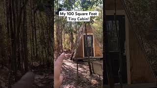 My 100 Sq Ft Tiny Cabin tinyhouse outdoors [upl. by Hadwin]