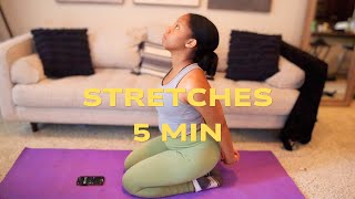 Quick Stretching Exercises 5 Min [upl. by Addiego]