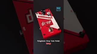 BeatMMM DigiTech amp DOD [upl. by Lach21]