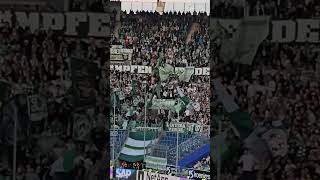 Werder Bremen Fans in Sinsheim bei Hoffenheim 🏟⚽️ [upl. by Nickolai]