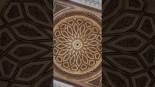 The beauty of madinah❤️youtubeshorts youtube viralvideo viralshortsHALALHABITSr8c [upl. by Marozas]