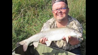 Barbeel vissen op de roer  Fishing for Barbel on a small river  De Roer [upl. by Kristos]