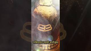 Omkarm sruthi12ज्योतिर्लिंग ytshorts feedshorts mahadev mahakal [upl. by Notyard603]