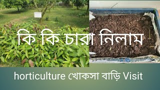 সিরাজগঞ্জ horticulture থেকে কি কি চারা কিনলামলাল শাক Easy grow [upl. by Leruj964]