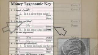 Dichotomous Key Tutorial [upl. by Yesima295]