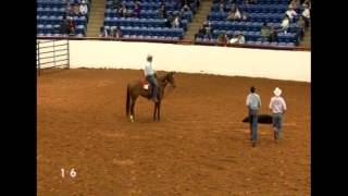 Hawks Robin Bar AQHA Jr Calf Roping with Blair Burk [upl. by Tillfourd]