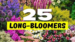 😱 Top 25 Best LONGEST Blooming Perennial Flowers 🌼 BLOOMS THAT NEVER QUIT 💐✨ [upl. by Remark]